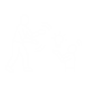 SVG Icon