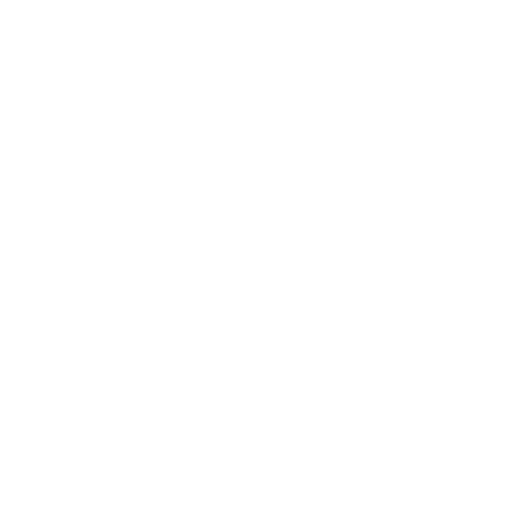 Expert mindset coaching
